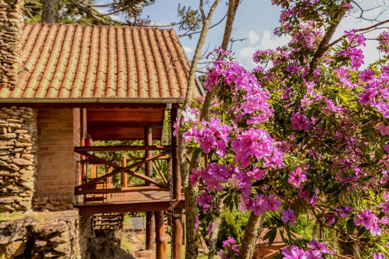 Chales Araucaria E Manaca São Bento do Sapucaí Exterior foto