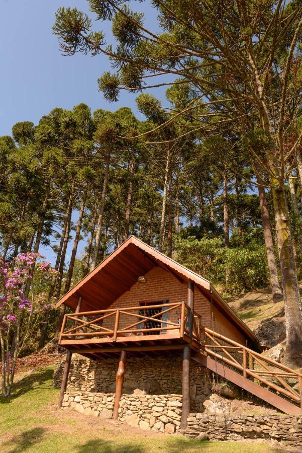 Chales Araucaria E Manaca São Bento do Sapucaí Exterior foto