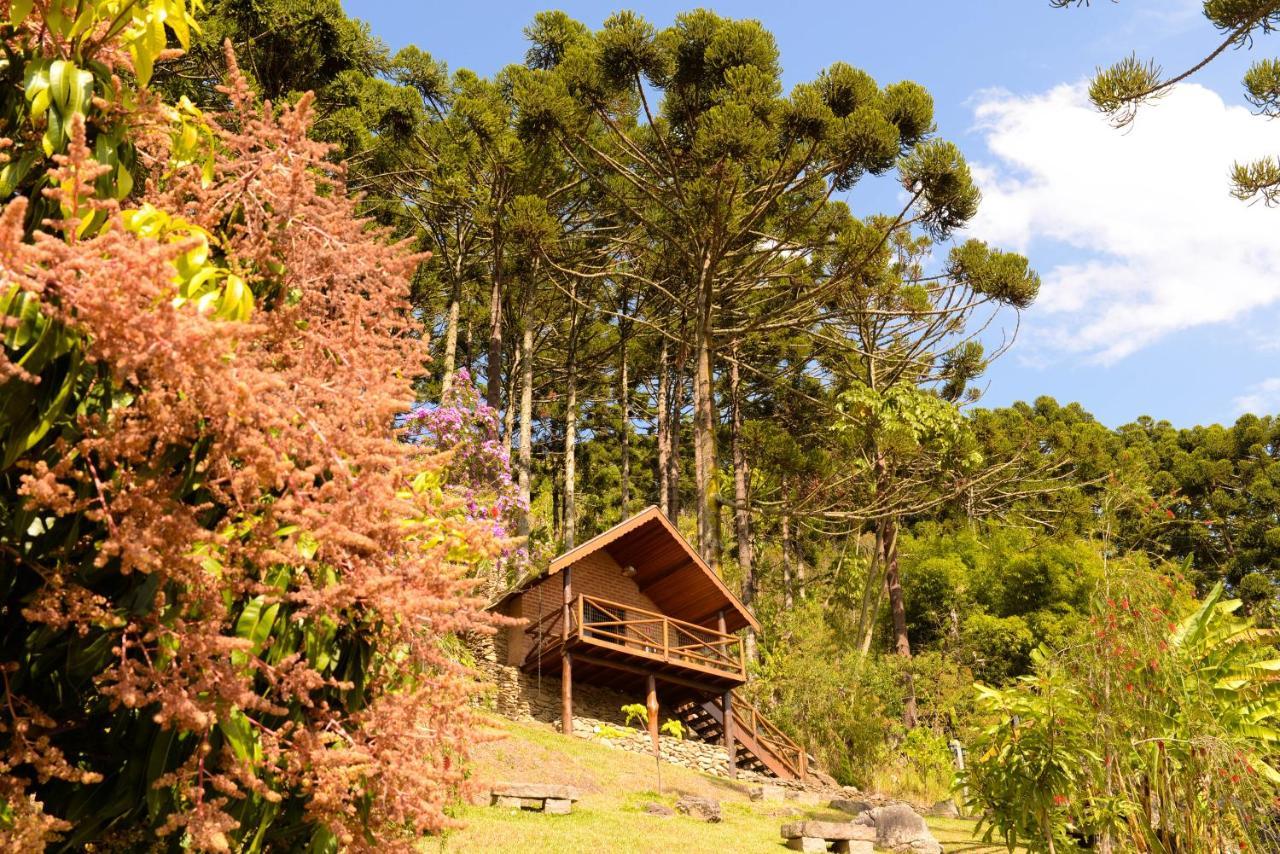 Chales Araucaria E Manaca São Bento do Sapucaí Exterior foto