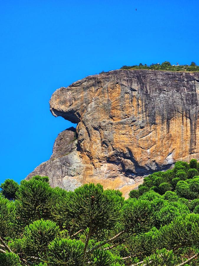 Chales Araucaria E Manaca São Bento do Sapucaí Exterior foto