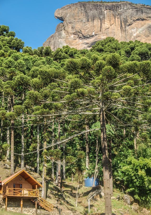 Chales Araucaria E Manaca São Bento do Sapucaí Exterior foto